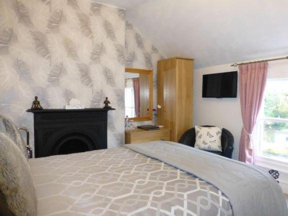 Bryn Derwen Guest House Conwy Phòng bức ảnh